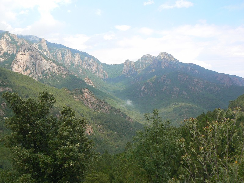 P1000489.jpg
