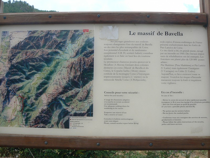 P1000491.jpg