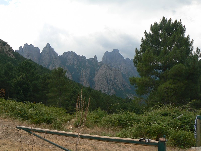 P1000492.jpg