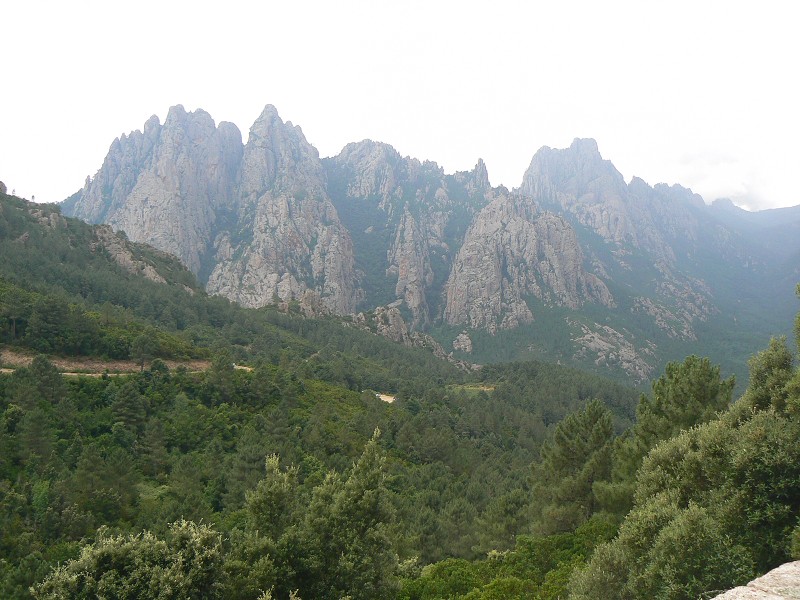 P1000496.jpg