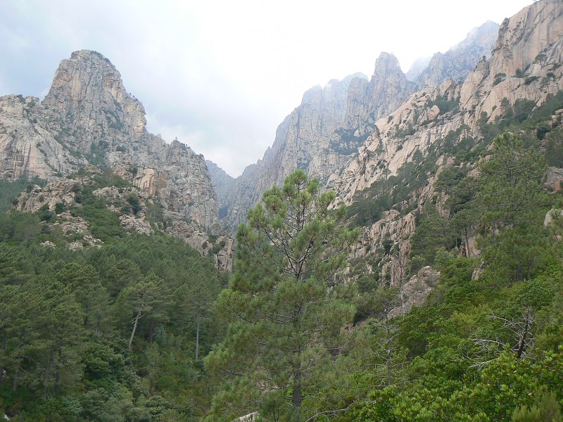 P1000499.jpg