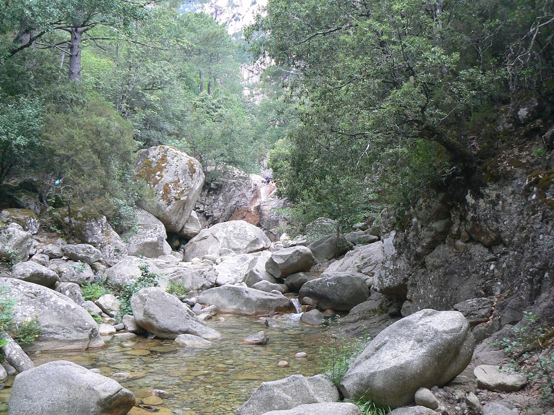 P1000500.jpg
