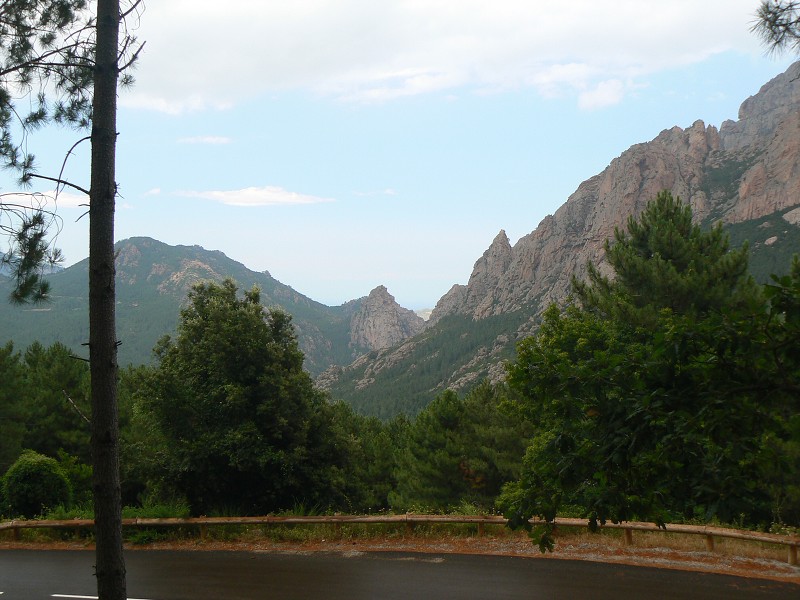 P1000509.jpg