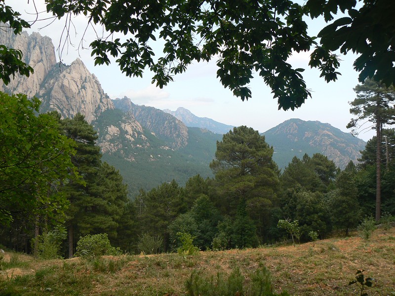 P1000514.jpg