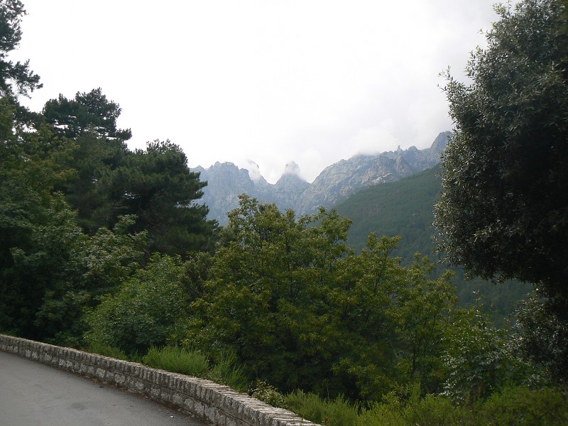 P1000515.jpg