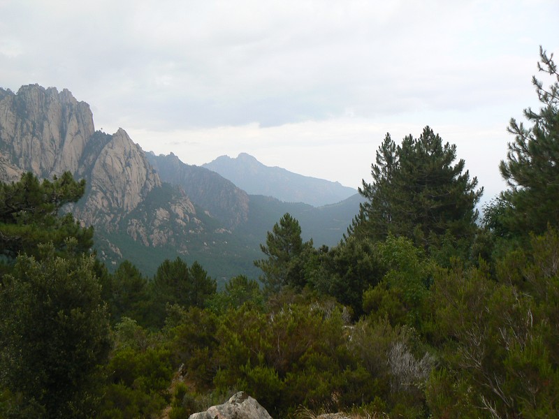 P1000517.jpg