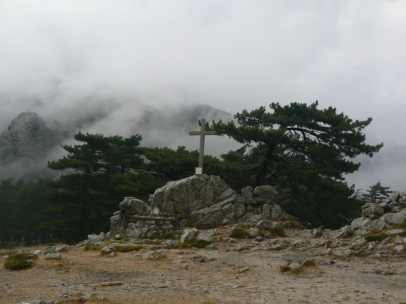 P1000518.jpg