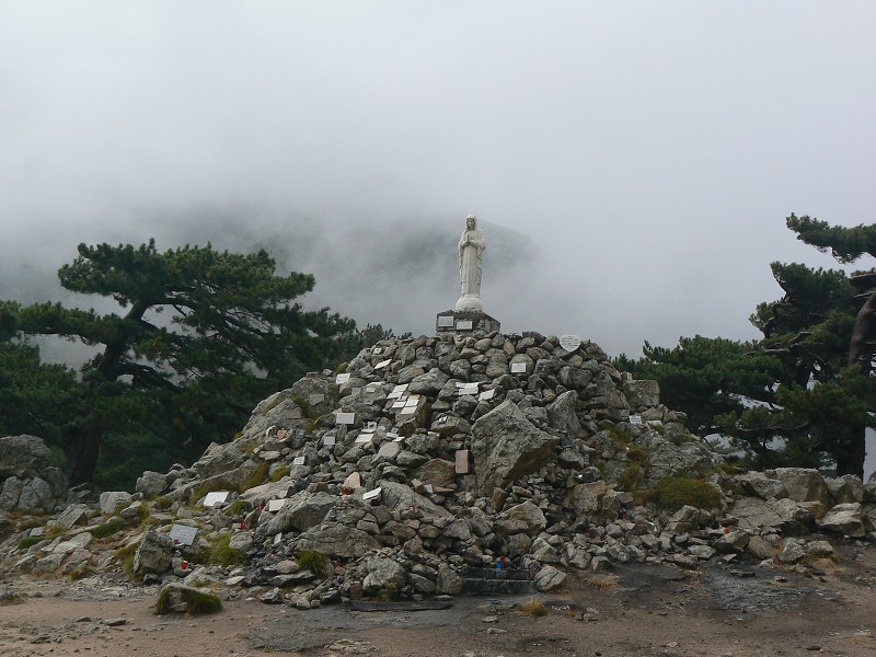 P1000519.jpg