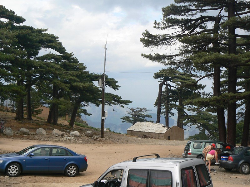 P1000520.jpg