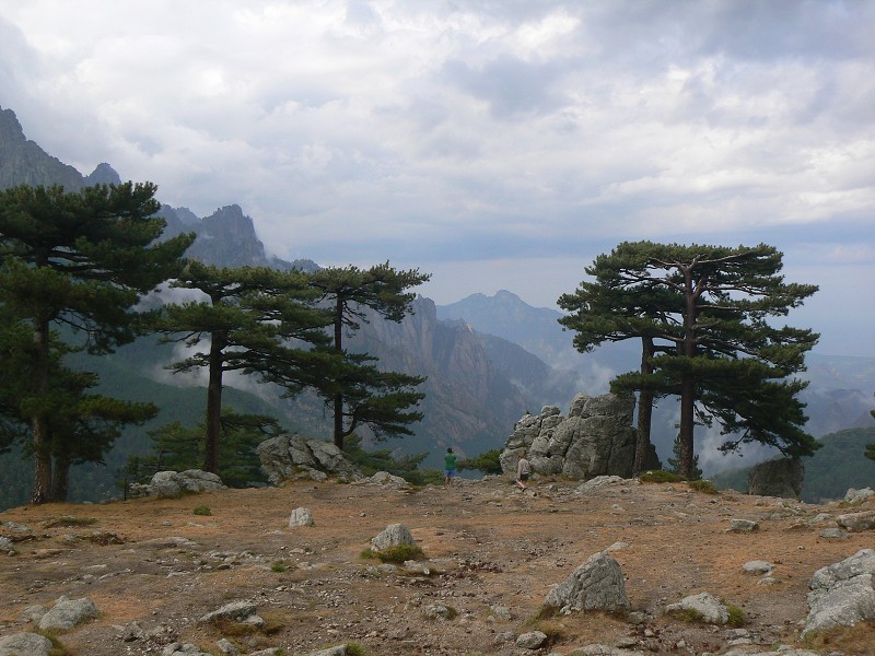 P1000523.jpg