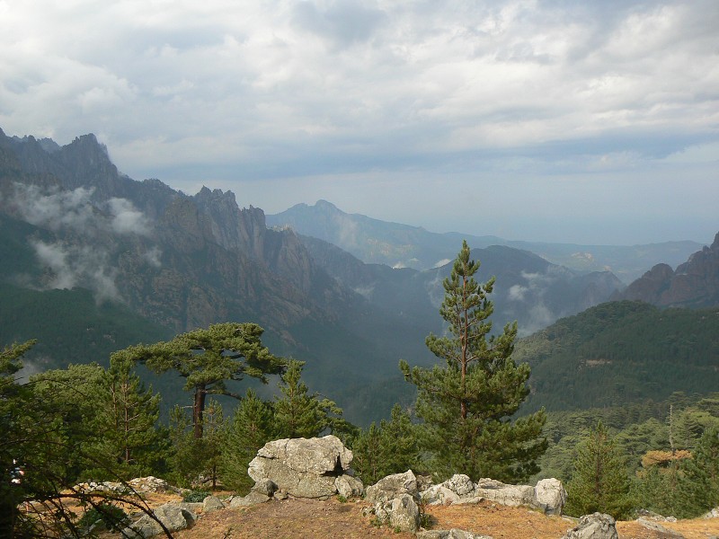 P1000525.jpg