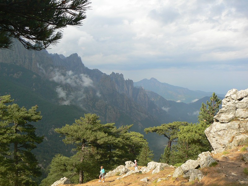P1000526.jpg