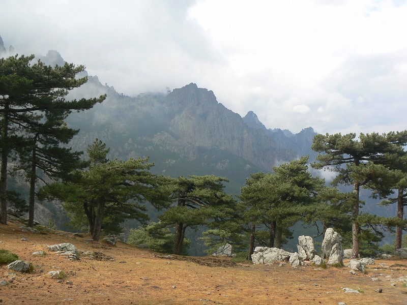 P1000527.jpg