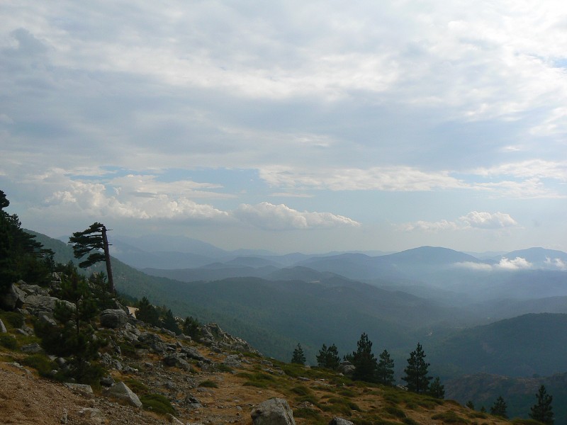 P1000538.jpg
