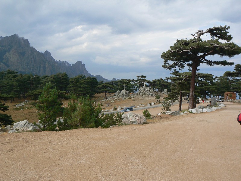 P1000541.jpg