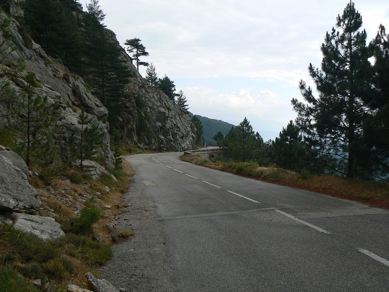 P1000545.jpg