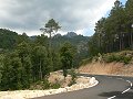 thn_P1000472.jpg