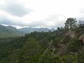 thn_P1000478.jpg