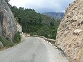 thn_P1000483.jpg