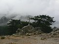 thn_P1000518.jpg