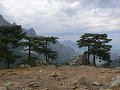 thn_P1000523.jpg