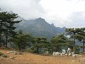 thn_P1000527.jpg