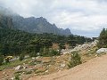 thn_P1000539.jpg