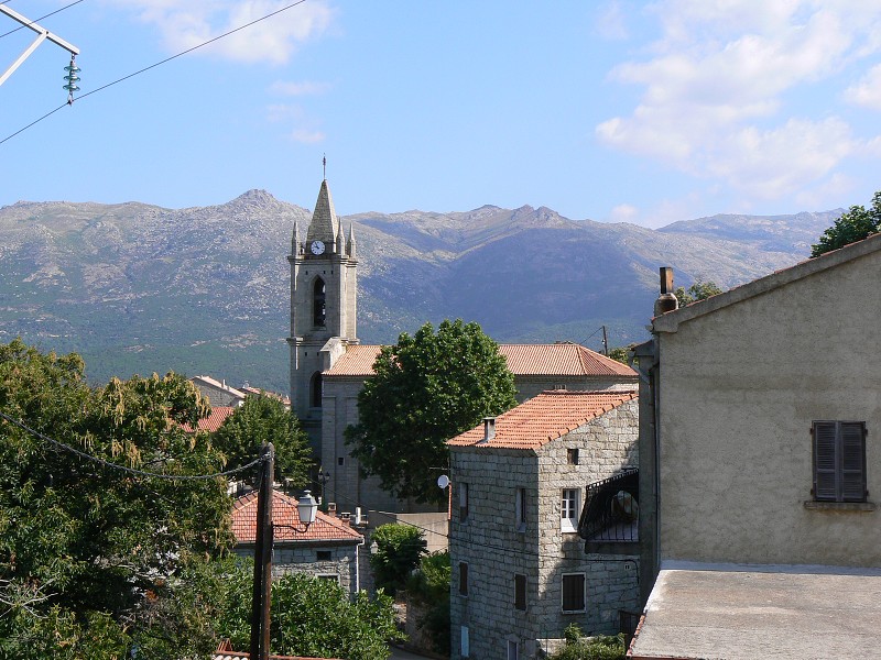 P1000558.jpg