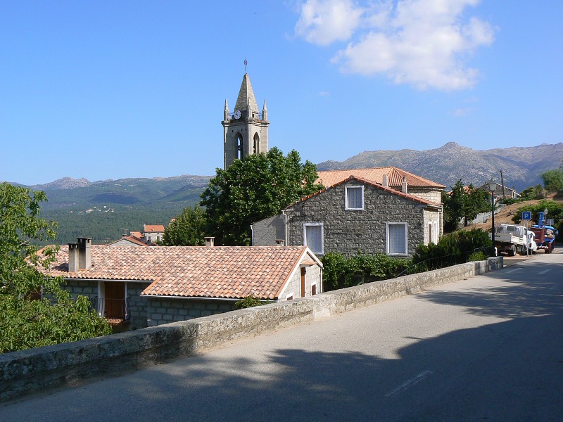 P1000559.jpg