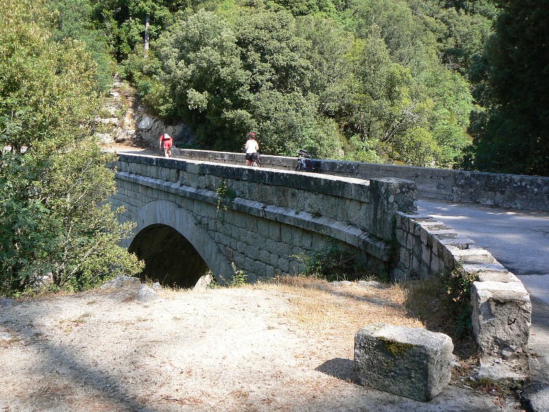 P1000563.jpg