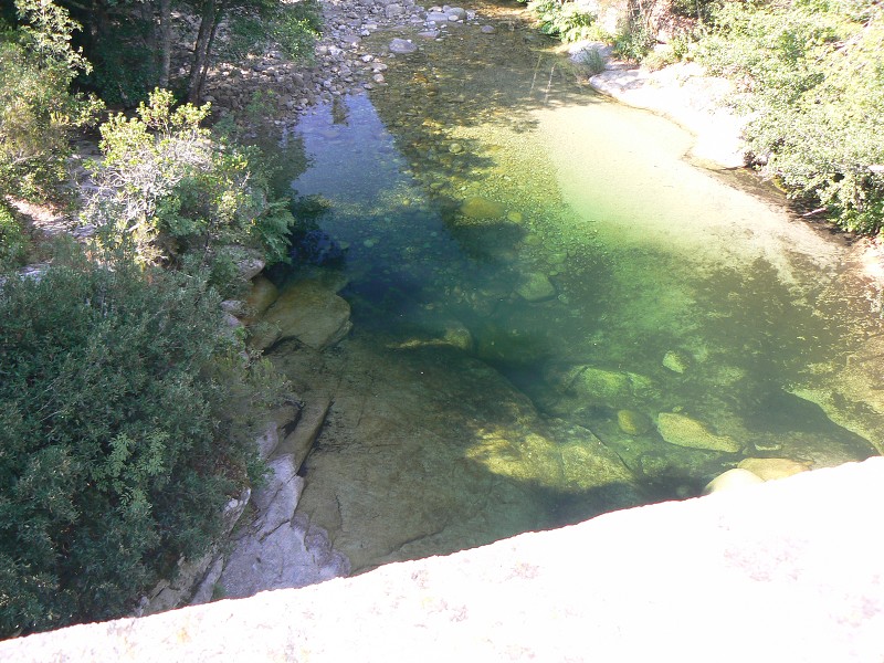 P1000565.jpg