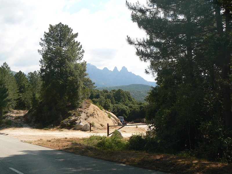 P1000566.jpg