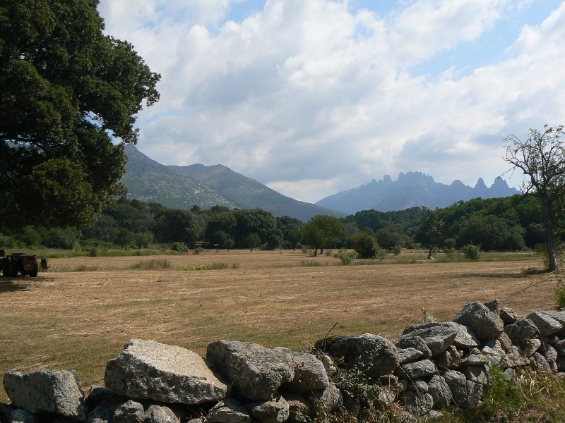P1000568.jpg