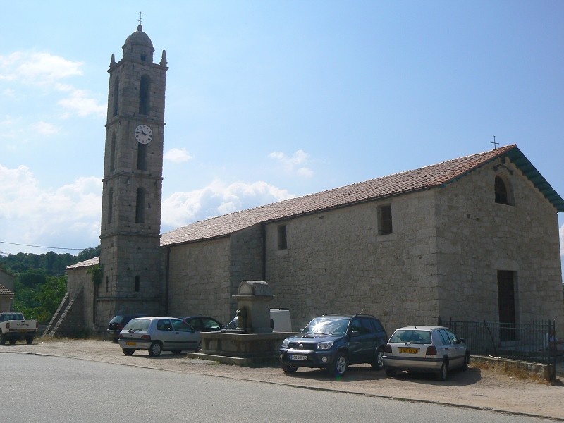 P1000569.jpg