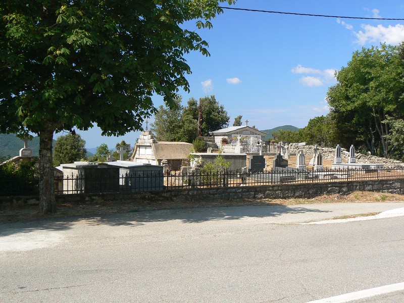 P1000574.jpg