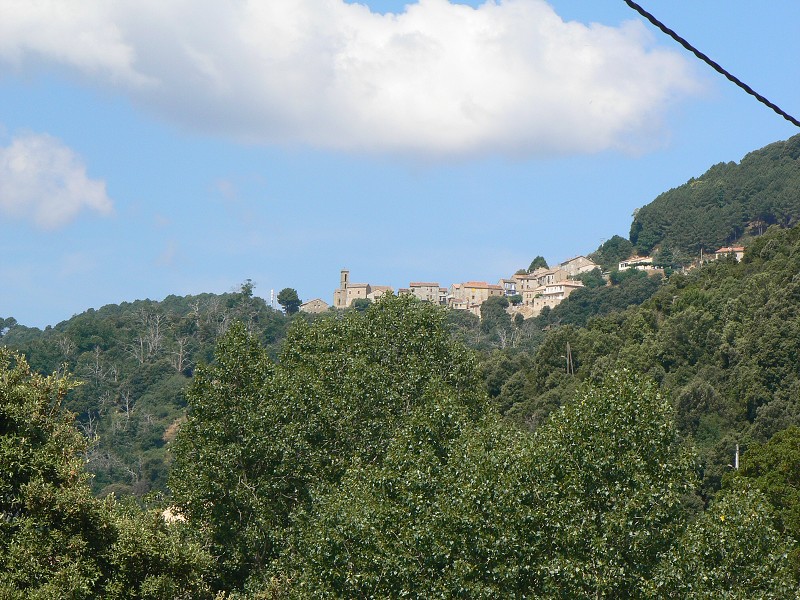 P1000575.jpg