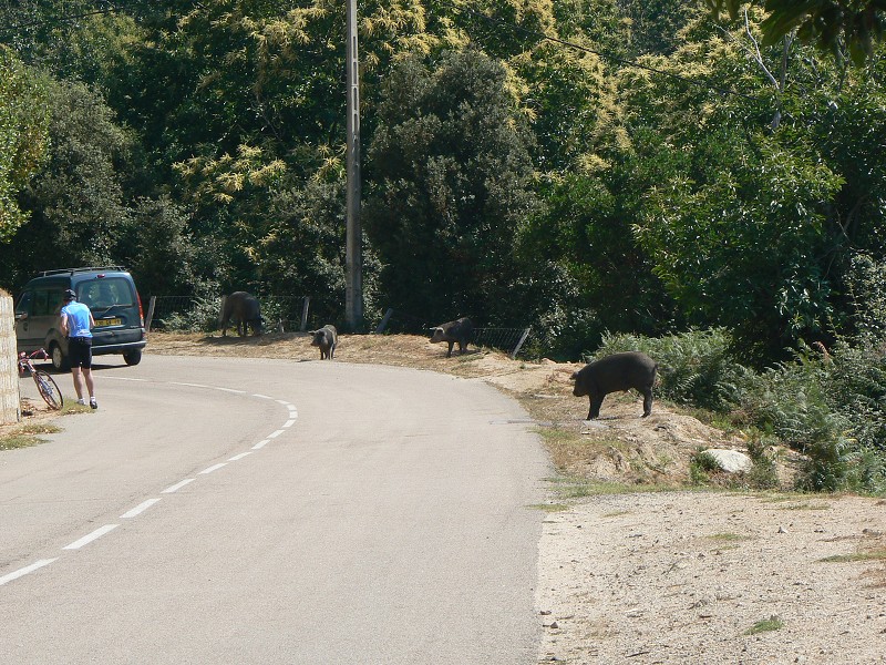 P1000577.jpg