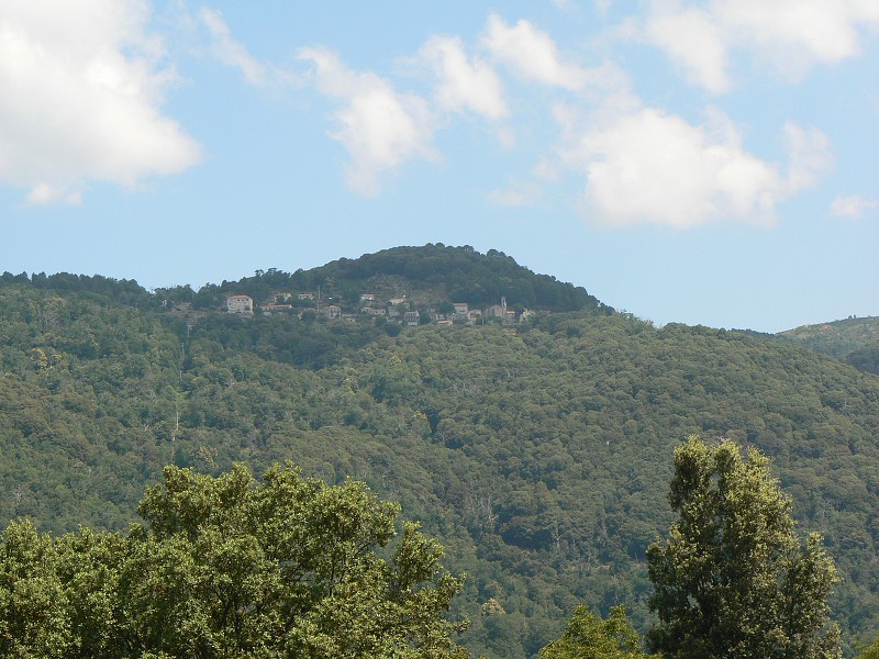 P1000581.jpg