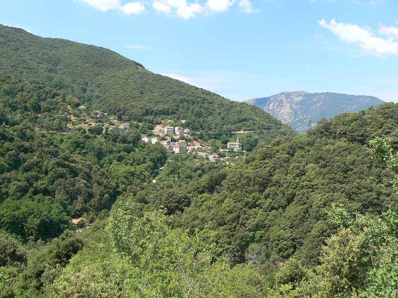 P1000582.jpg