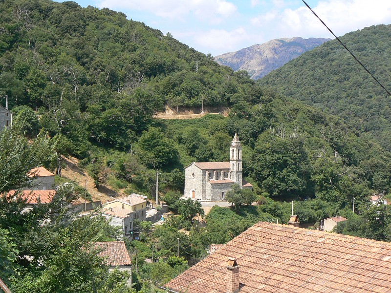 P1000583.jpg