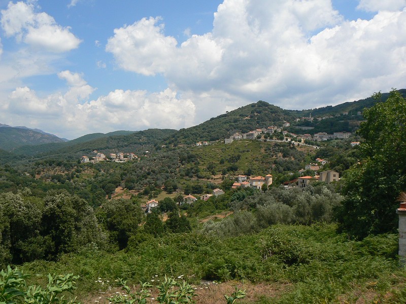 P1000590.jpg