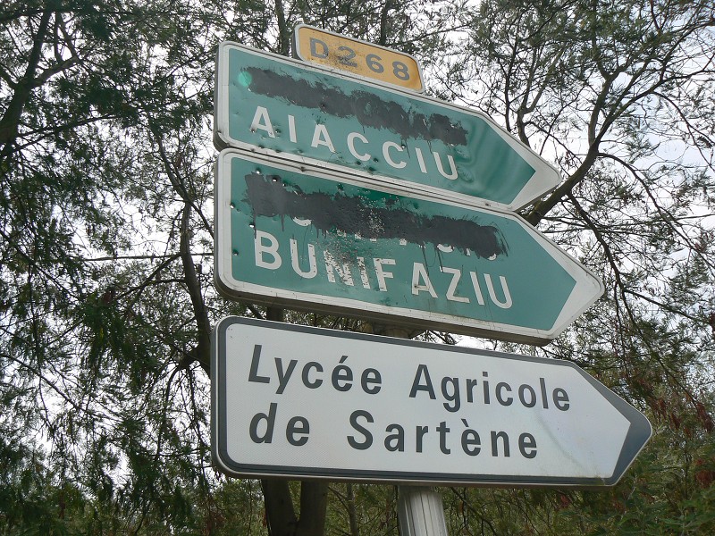 P1000593.jpg