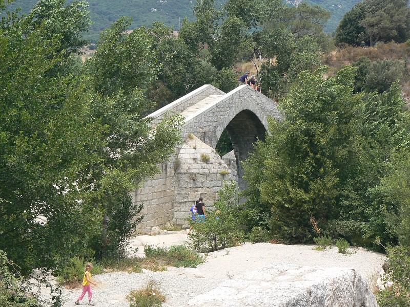 P1000594.jpg
