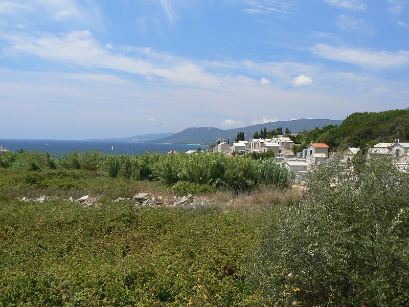 P1000598.jpg