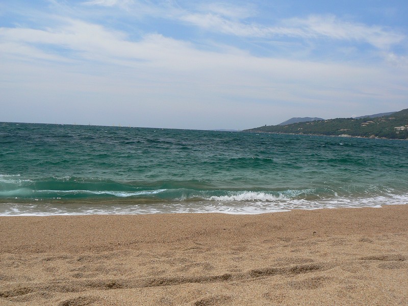 P1000600.jpg