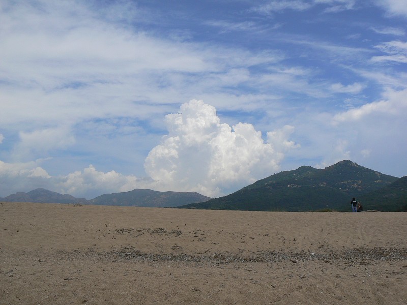 P1000601.jpg