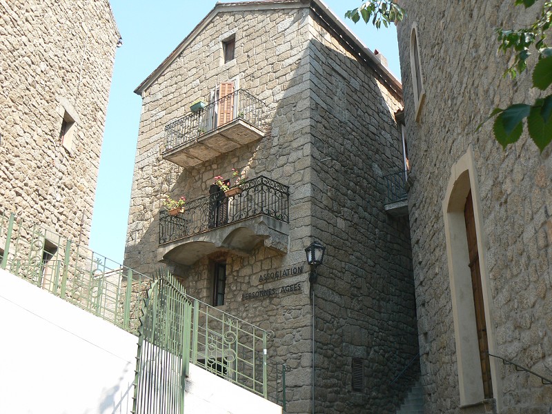P1000616.jpg