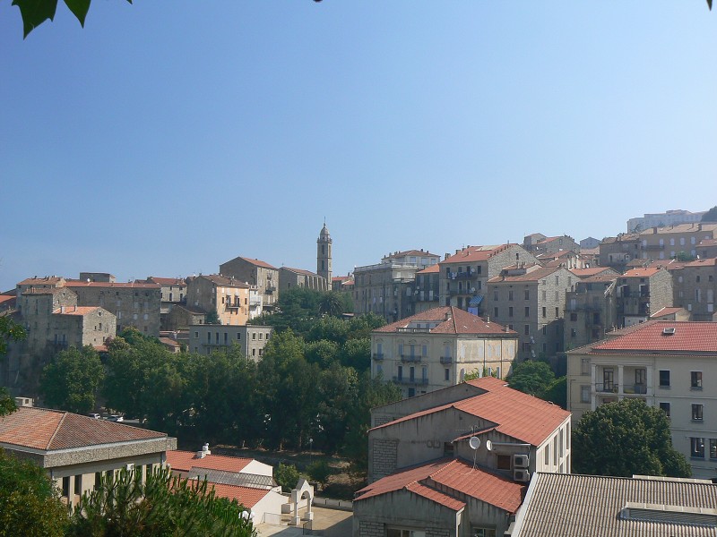 P1000622.jpg