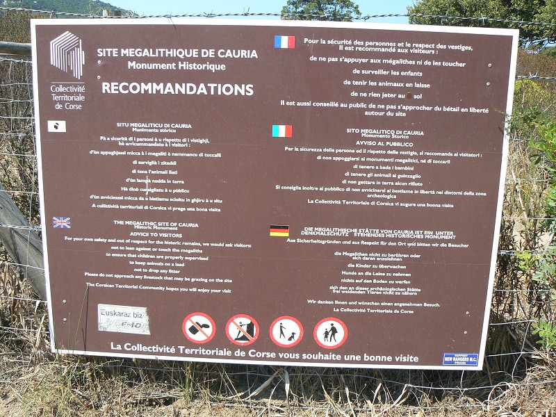 P1000627.jpg