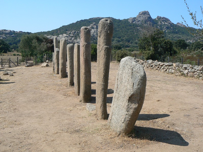 P1000628.jpg